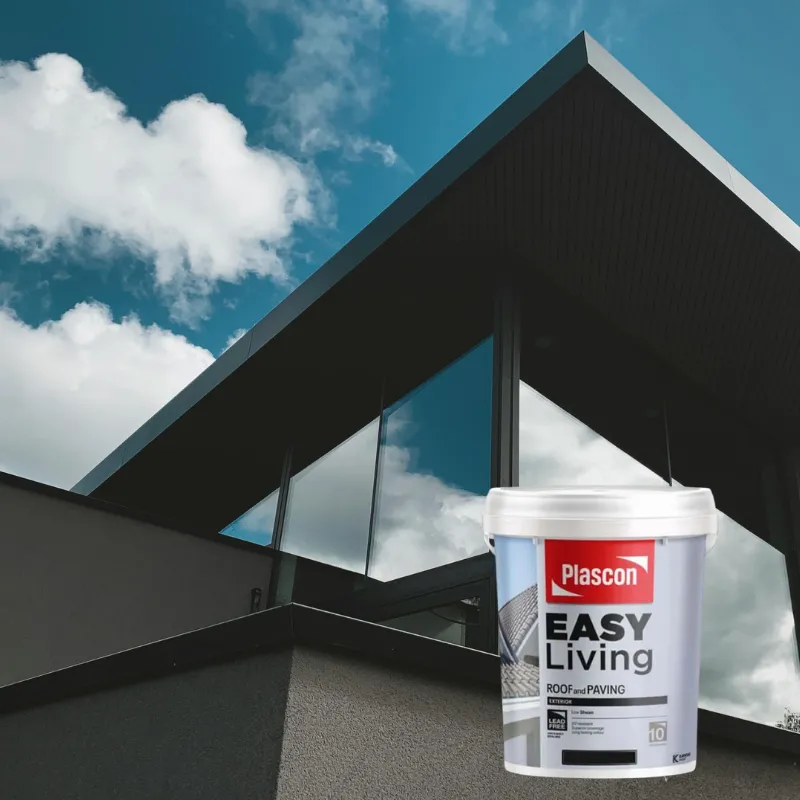 Plascon Exterior Paint